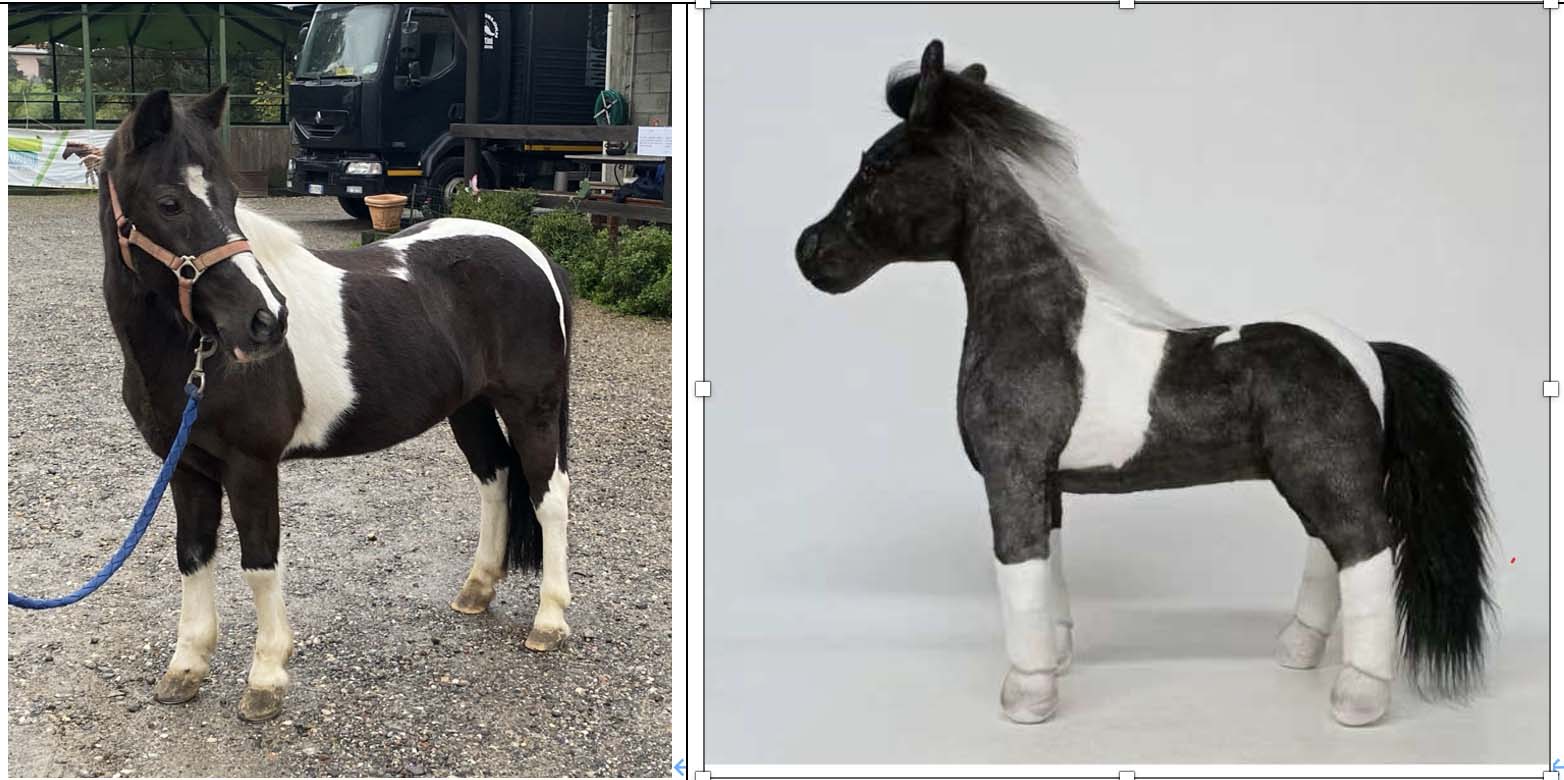 Custom Stuffed Animal