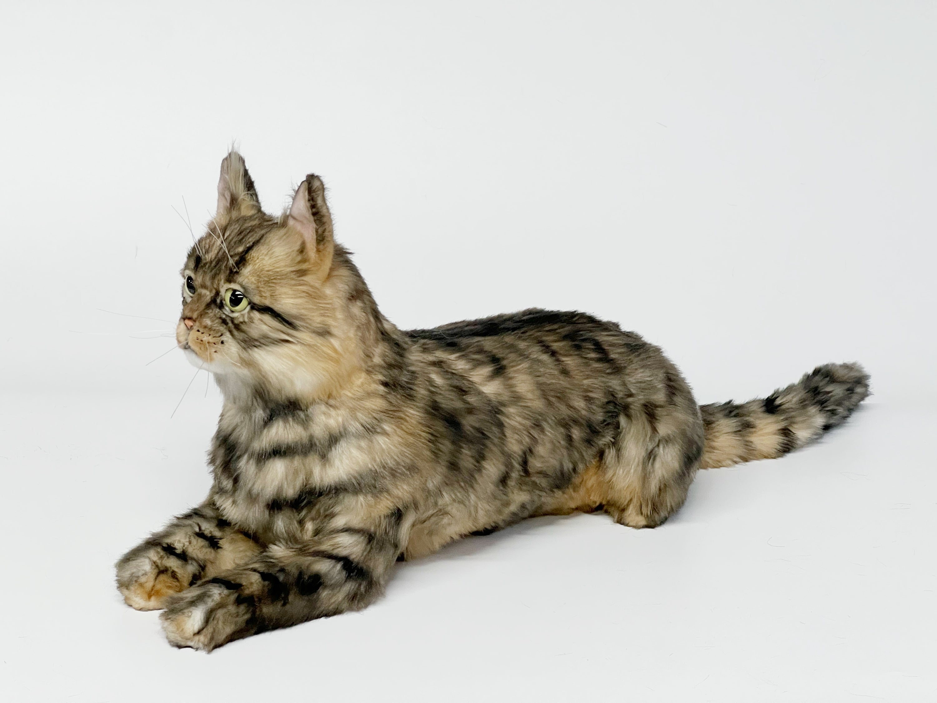 Custom Stuffed Animal