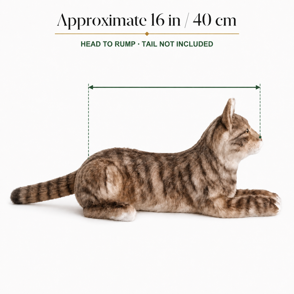 Ready-Made Brown Cat Plush - size guide