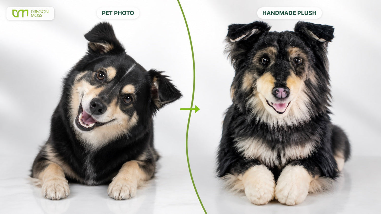 Australian Kelpie pet photo and handmade plush made by the DragonMoss production team