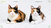Calico cat pet photo and handmade plush comparison for the DragonMoss photo guide