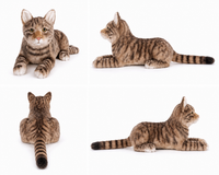 Ready-Made Brown Cat Plush gallery image 2