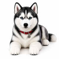 Ready-Made Siberian Husky Plush gallery image 6