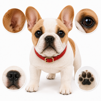 Ready-Made English Bulldog Plush gallery image 6