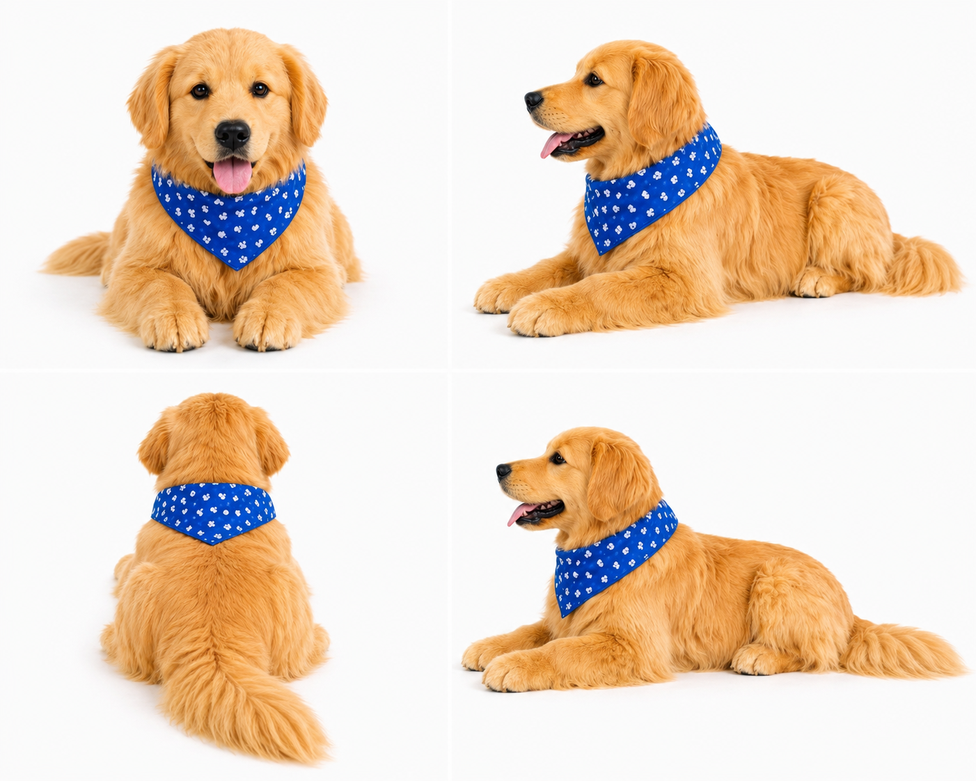 Ready-Made Golden Retriever Plush gallery image 3