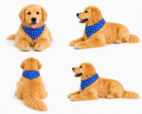 Ready-Made Golden Retriever Plush gallery image 3