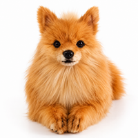 Ready-Made Pomeranian Plush
