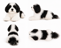 Ready-Made Cockapoo Plush gallery image 2