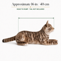 Ready-Made Brown Cat Plush - size guide