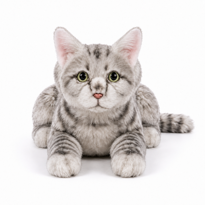 Ready-Made Gray Cat Plush - studio main image