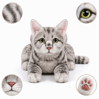 Ready-Made Gray Cat Plush - close-up details