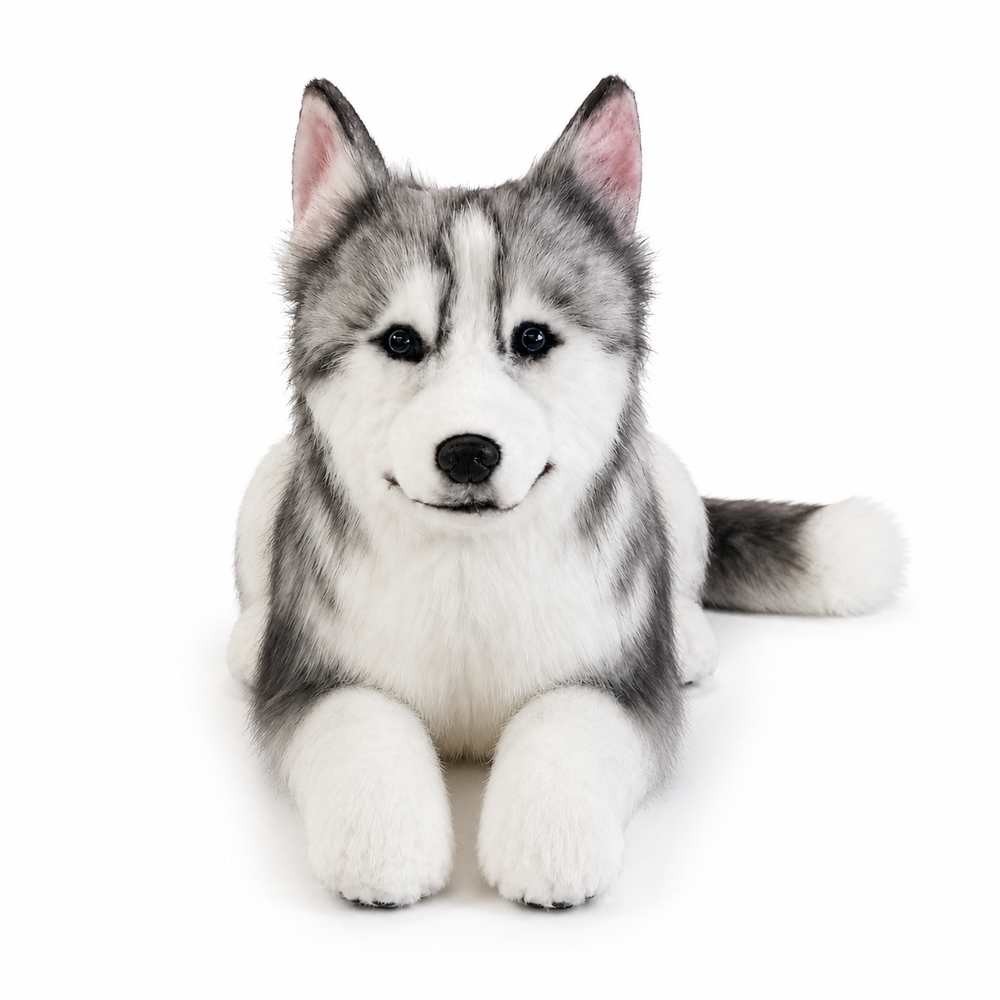 Ready-Made Siberian Husky Plush - studio main image