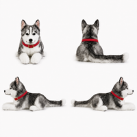 Ready-Made Siberian Husky Plush - red collar views