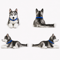 Ready-Made Siberian Husky Plush - blue collar views