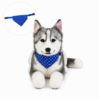 Ready-Made Siberian Husky Plush - blue bandana