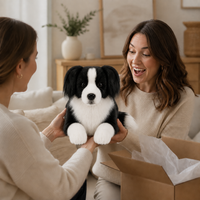 Ready-Made Border Collie Plush - gift scene