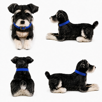Ready-Made Miniature Schnauzer Plush - blue collar views