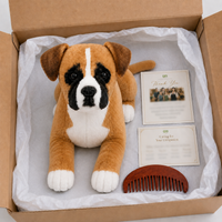 Ready-Made Boxer Plush - packaging presentation