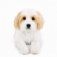 Ready-Made Shih Tzu Plush - studio main image