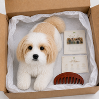Ready-Made Shih Tzu Plush - packaging presentation