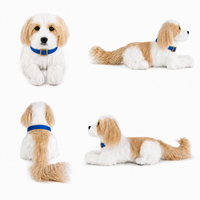 Ready-Made Shih Tzu Plush - blue collar views