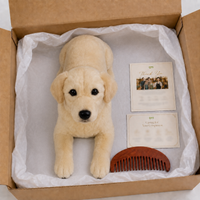 Ready-Made Labrador Retriever Plush - packaging presentation