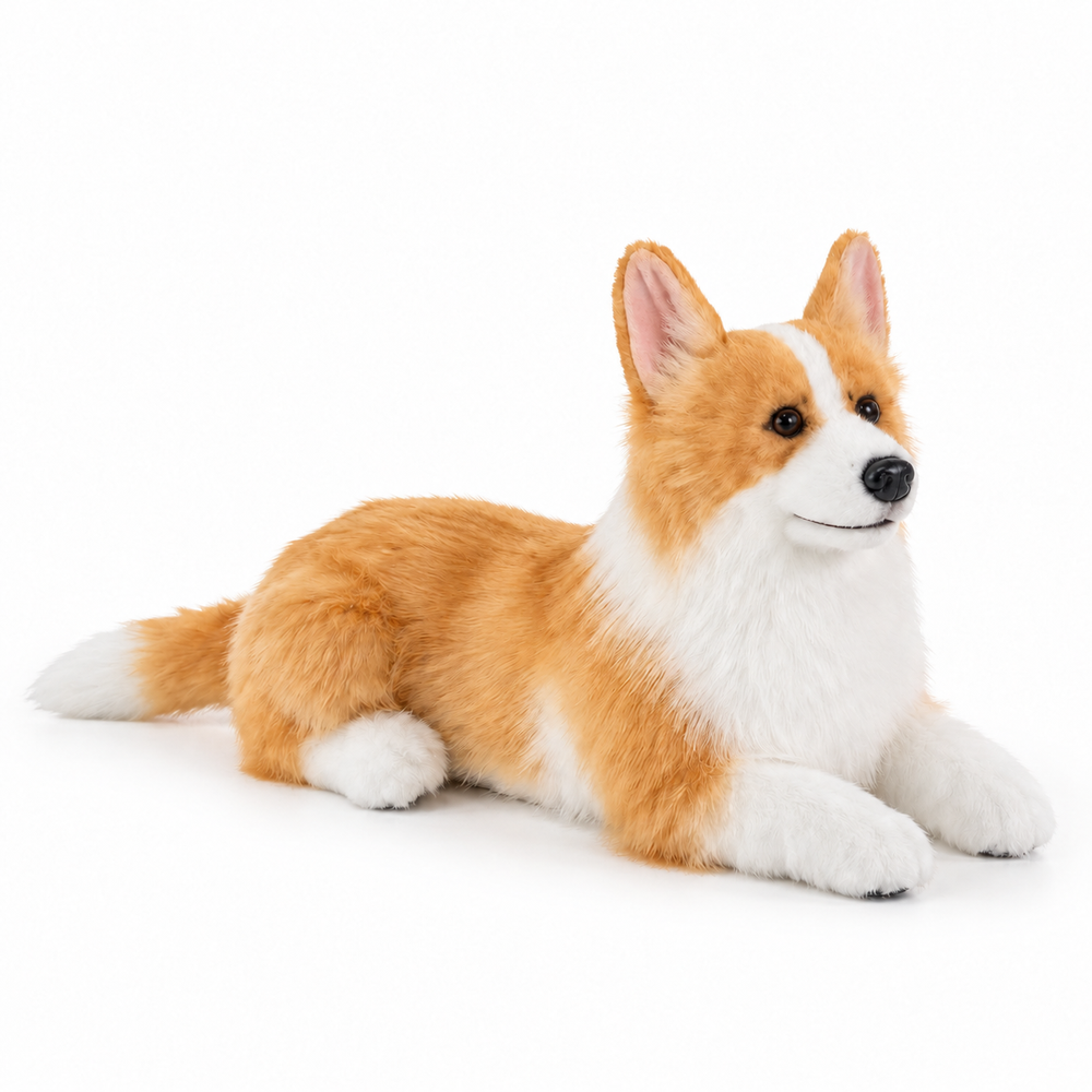 Ready-Made Corgi Plush - studio main image