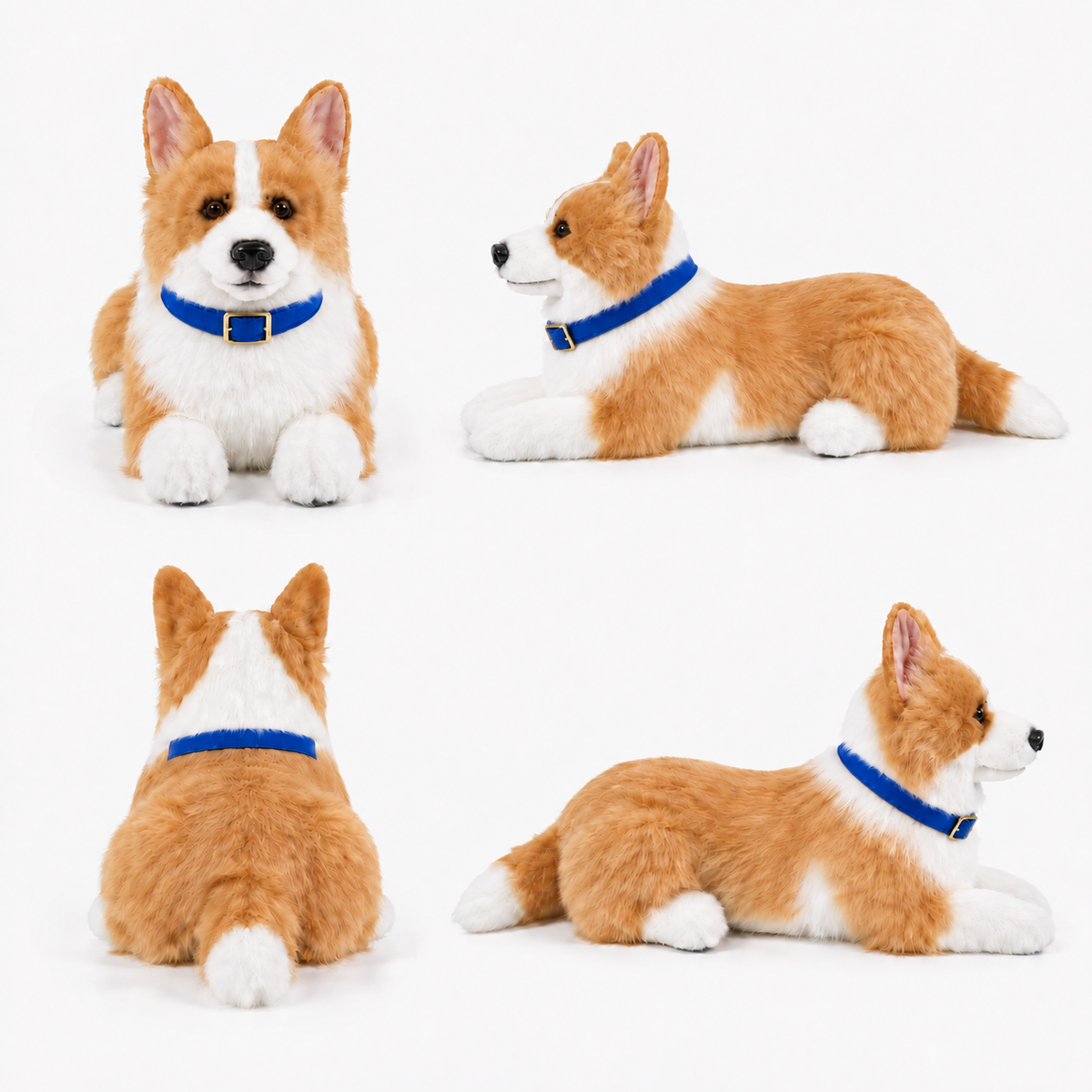 Ready-Made Corgi Plush - blue collar views