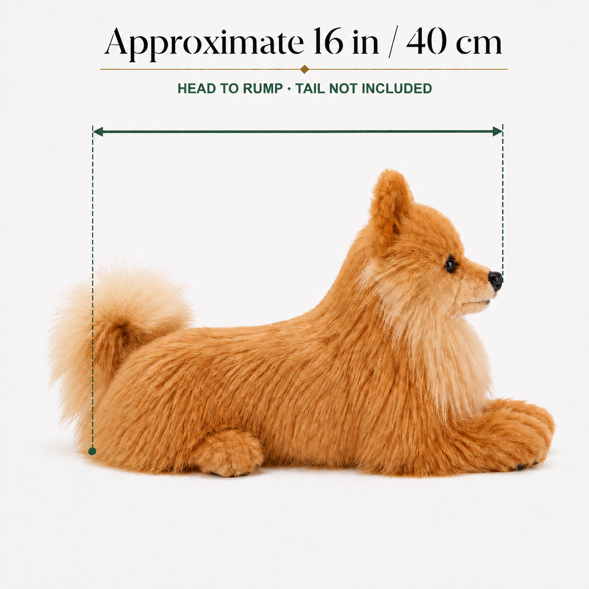 Ready-Made Pomeranian Plush - size guide