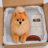 Ready-Made Pomeranian Plush - packaging presentation