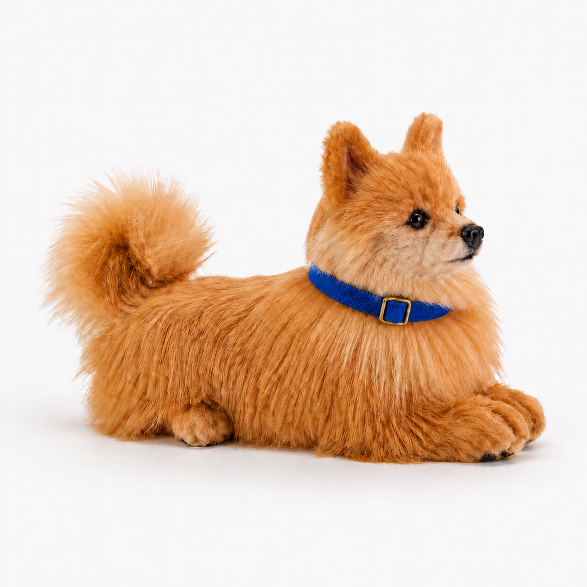 Ready-Made Pomeranian Plush - blue collar views