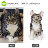 HugTwin photo-to-plush comparison: a tabby cat with a white chest and paws beside a custom cat plush.