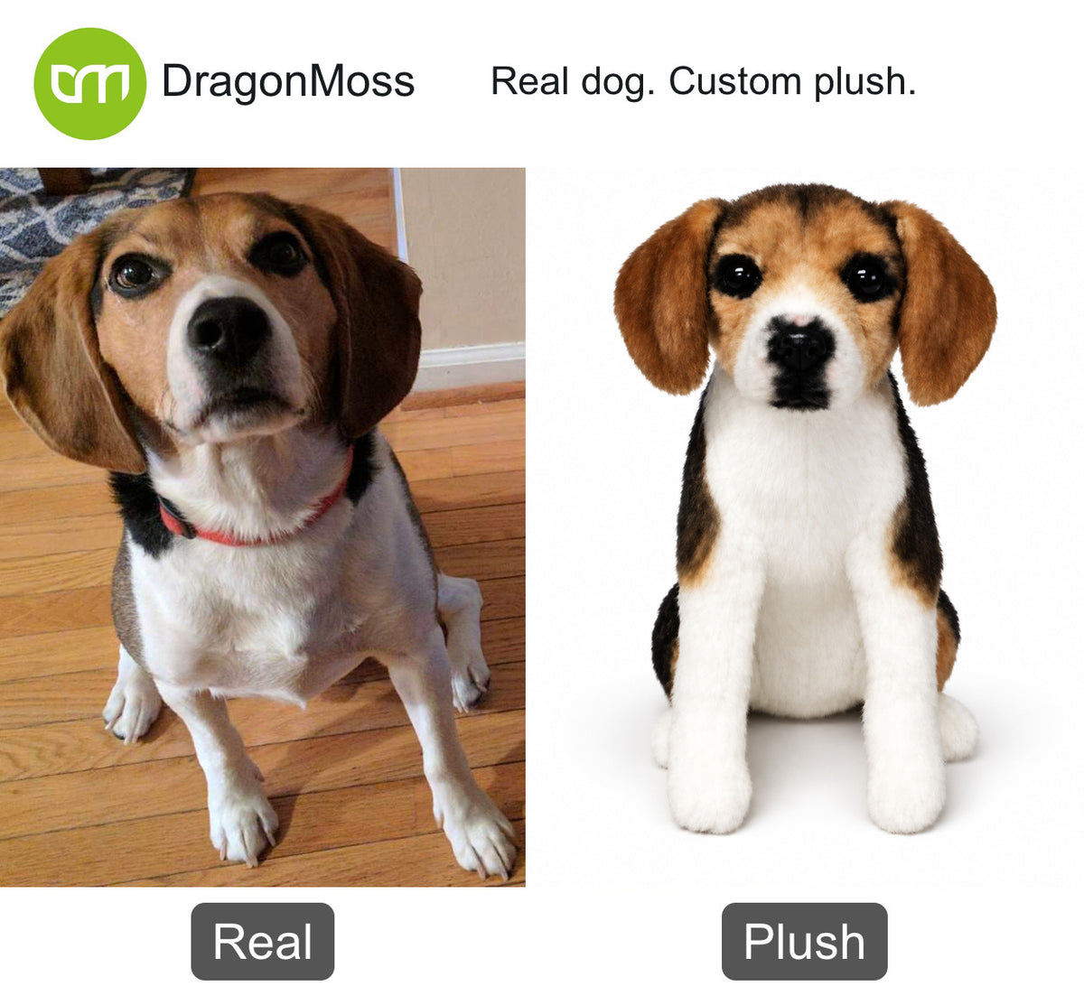 HugTwin photo-to-plush comparison: a tricolor beagle beside its seated custom dog plush.