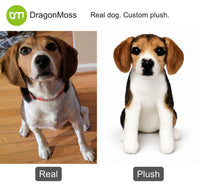 HugTwin photo-to-plush comparison: a tricolor beagle beside its seated custom dog plush.