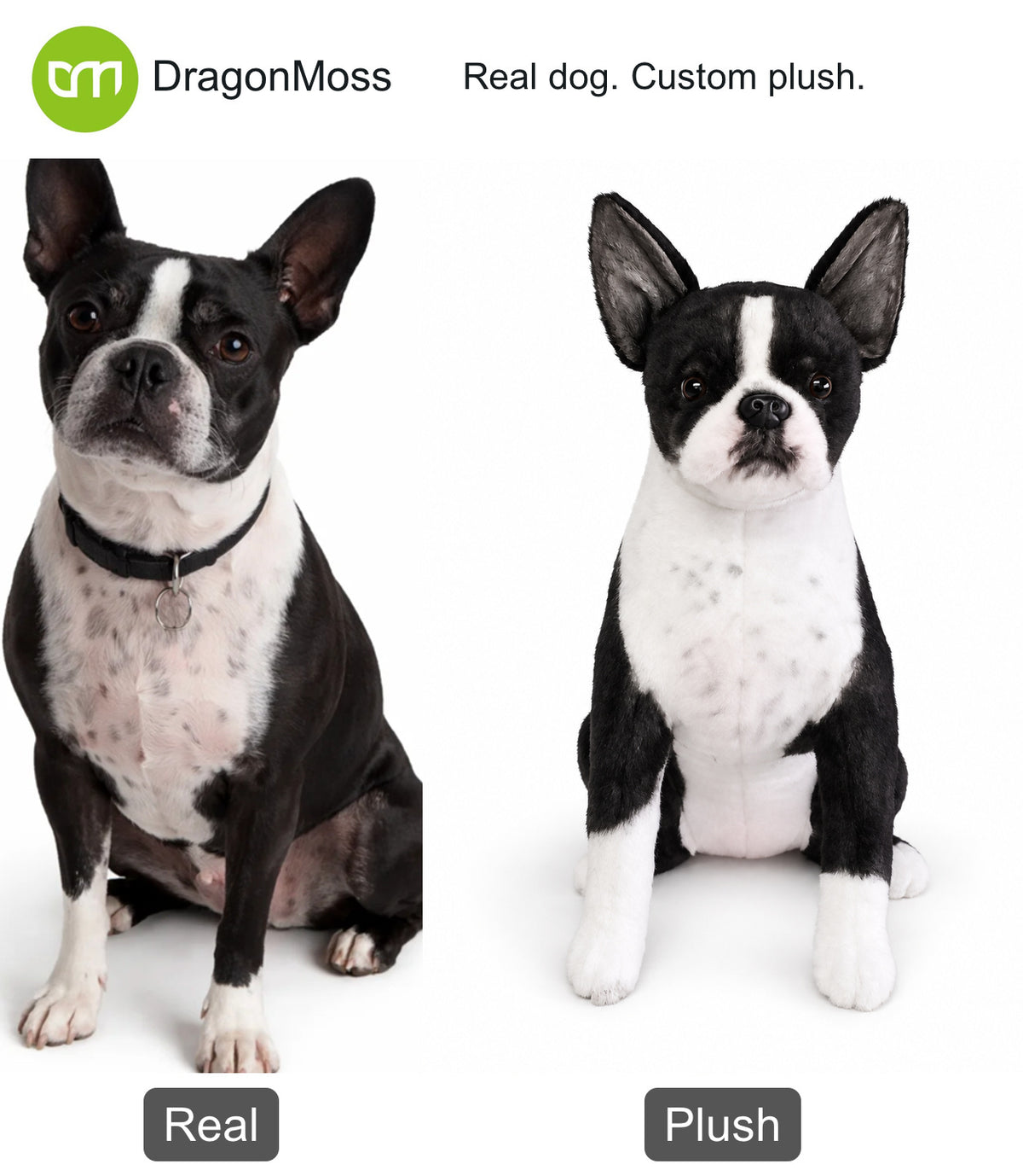 HugTwin photo-to-plush comparison: a black-and-white Boston terrier beside its full-body custom plush.
