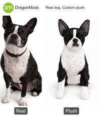 HugTwin photo-to-plush comparison: a black-and-white Boston terrier beside its full-body custom plush.