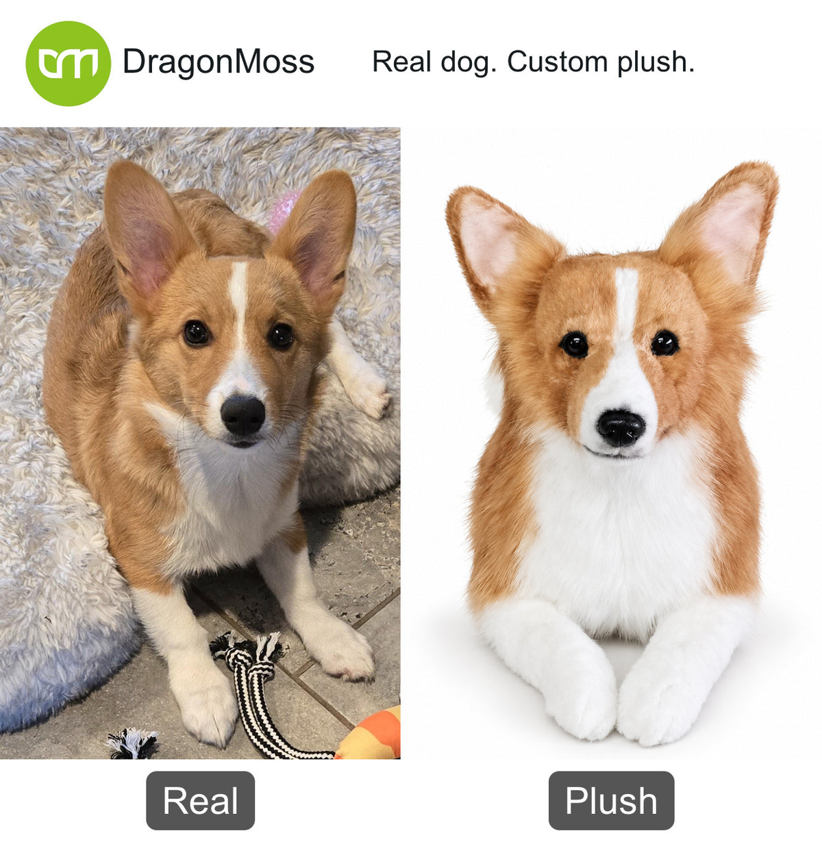 HugTwin photo-to-plush comparison: a tan-and-white corgi beside its full-body custom dog plush.