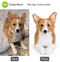 HugTwin photo-to-plush comparison: a tan-and-white corgi beside its full-body custom dog plush.
