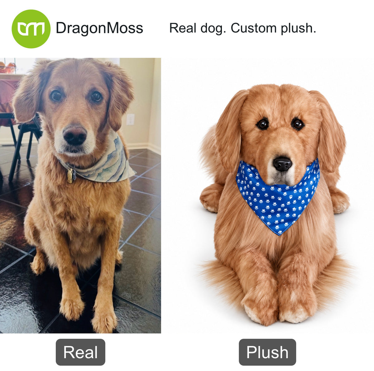 HugTwin photo-to-plush comparison: a golden retriever beside a custom dog plush wearing a blue bandana.