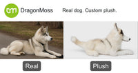 HugTwin photo-to-plush comparison: a grey-and-white husky and its full-body custom plush lying down.