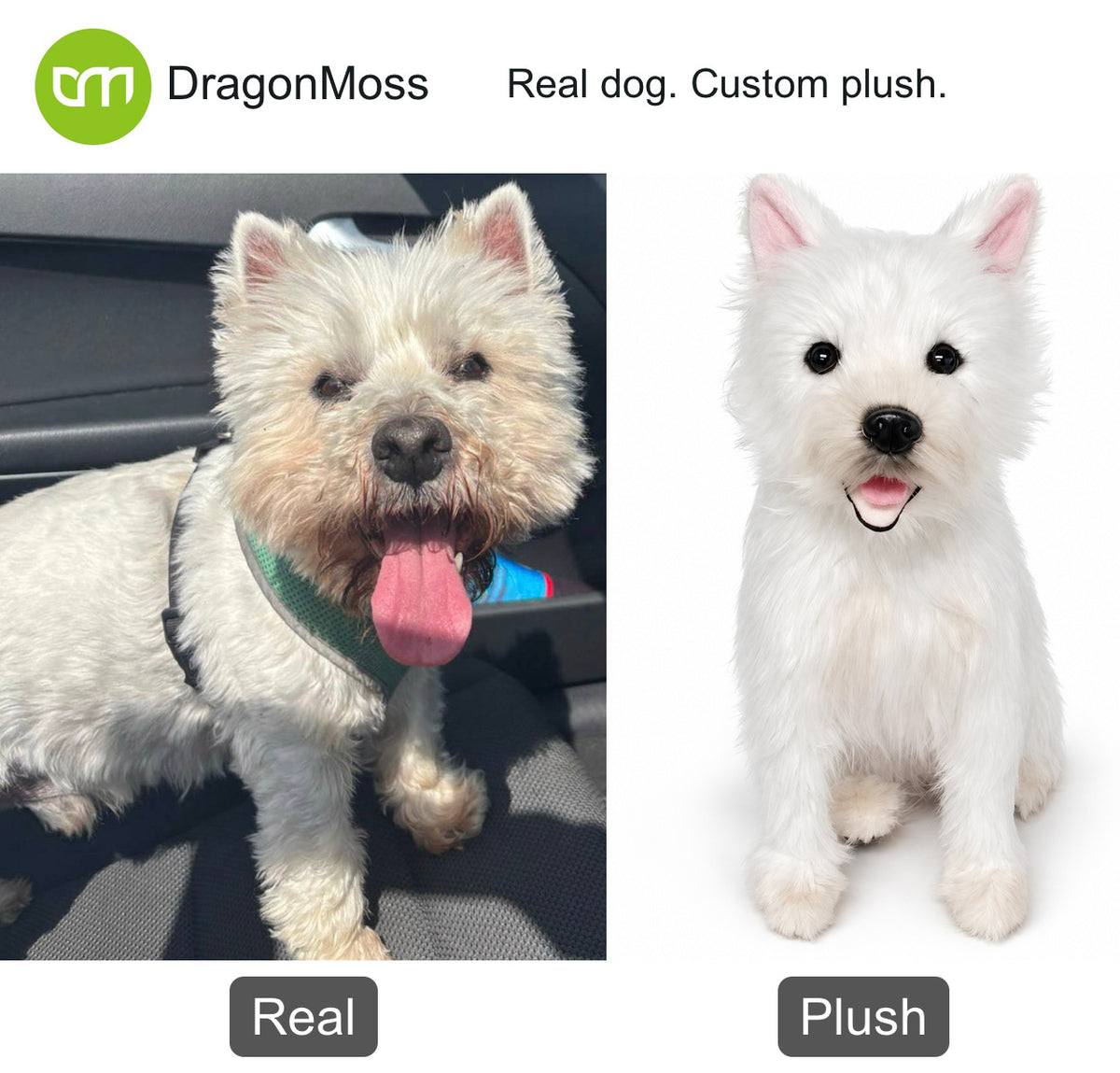 HugTwin photo-to-plush comparison: a West Highland white terrier beside its custom dog plush.
