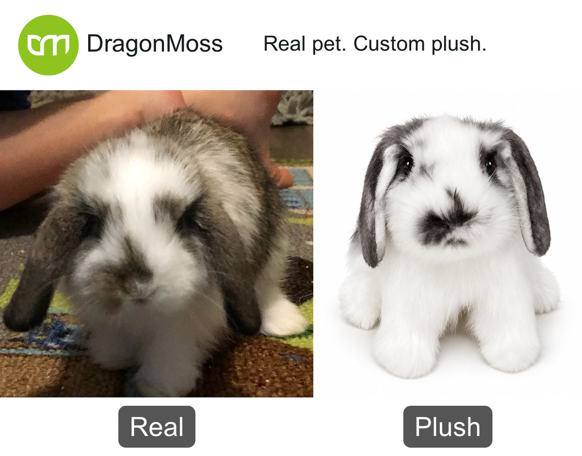 HugTwin photo-to-plush comparison: a lop-eared rabbit beside its full-body custom rabbit plush.