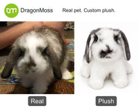 HugTwin photo-to-plush comparison: a lop-eared rabbit beside its full-body custom rabbit plush.