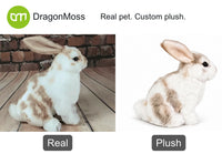 HugTwin photo-to-plush comparison: a brown-and-white upright-eared rabbit beside its custom rabbit plush.