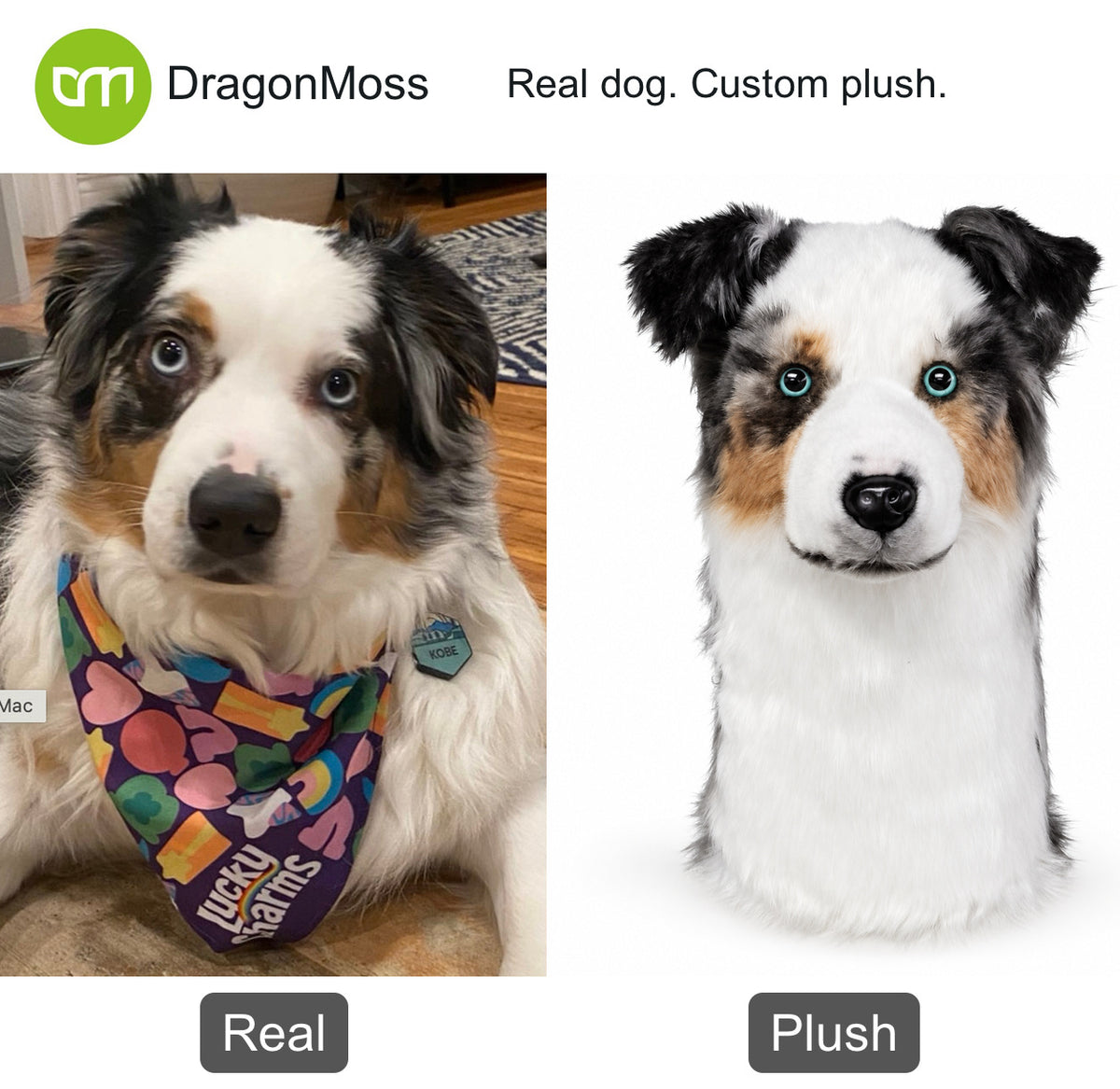 PawCaddie photo comparison: an Australian shepherd beside a matching custom dog golf headcover.
