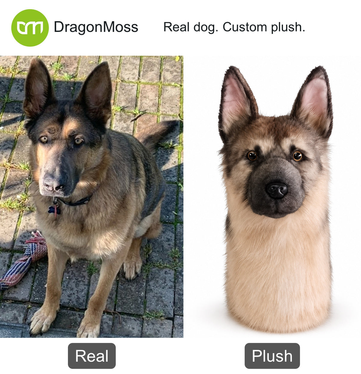 PawCaddie photo comparison: a German shepherd beside a matching custom dog golf headcover.