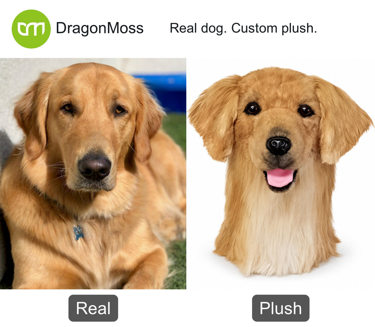 PawCaddie photo comparison: a golden retriever beside a matching custom dog golf headcover.