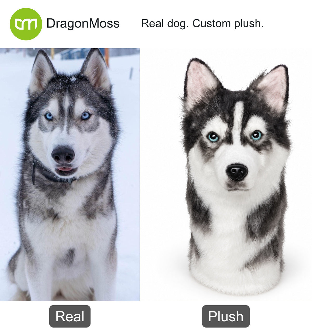 PawCaddie photo comparison: a grey-and-white husky beside a matching custom dog golf headcover.
