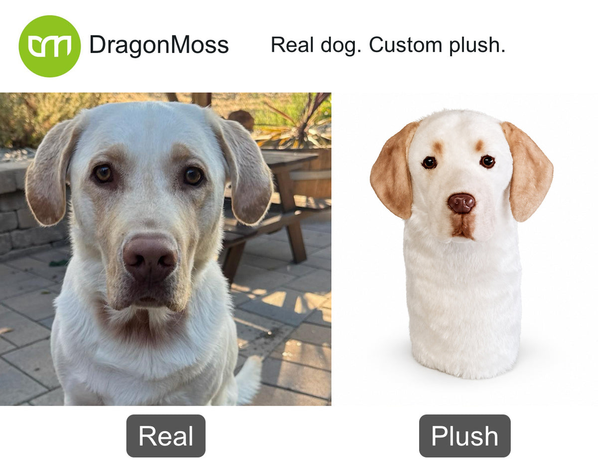 PawCaddie photo comparison: a yellow Labrador beside a matching custom dog golf headcover.