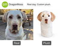 PawCaddie photo comparison: a yellow Labrador beside a matching custom dog golf headcover.